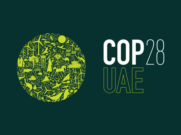 UAE President declares 2023 the "Year of Sustainable Development"