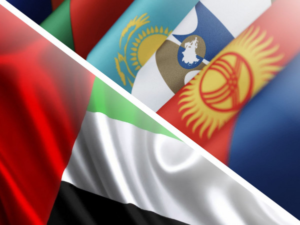 The EAEU and the UAE discussed the regulatory part of the future Free Trade Agreement (FTA)